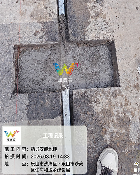 维的美~四川乐山智慧斑马线21.jpg