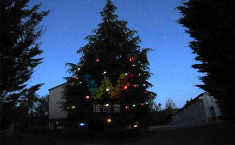圣诞树上的太阳能道钉1.jpg