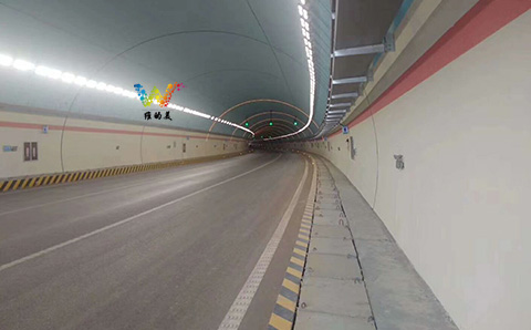 植物园隧道灯处3.jpg