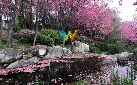 未标题-4.jpg