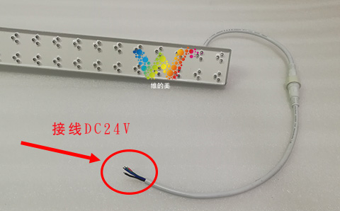 网红红绿灯3.jpg