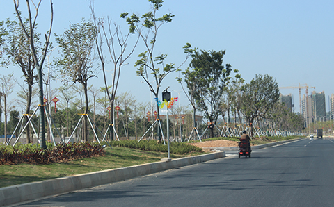 太阳能黄闪灯实地应用3.jpg