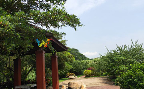 美丽增城3.jpg