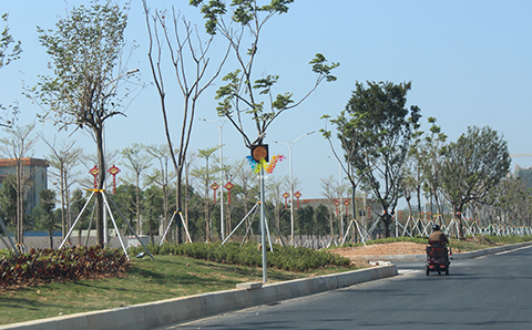 太阳能黄闪灯实地应用1.jpg