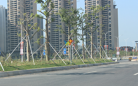太阳能黄闪灯实地应用2.jpg