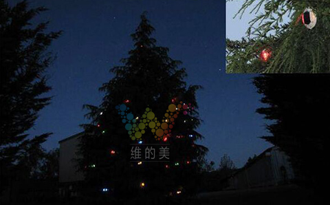 圣诞树上的太阳能道钉.jpg
